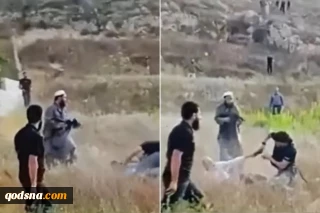 BATI ŞERİA